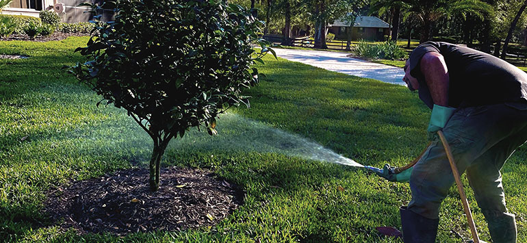 Driggers Tech Spraying Lawn